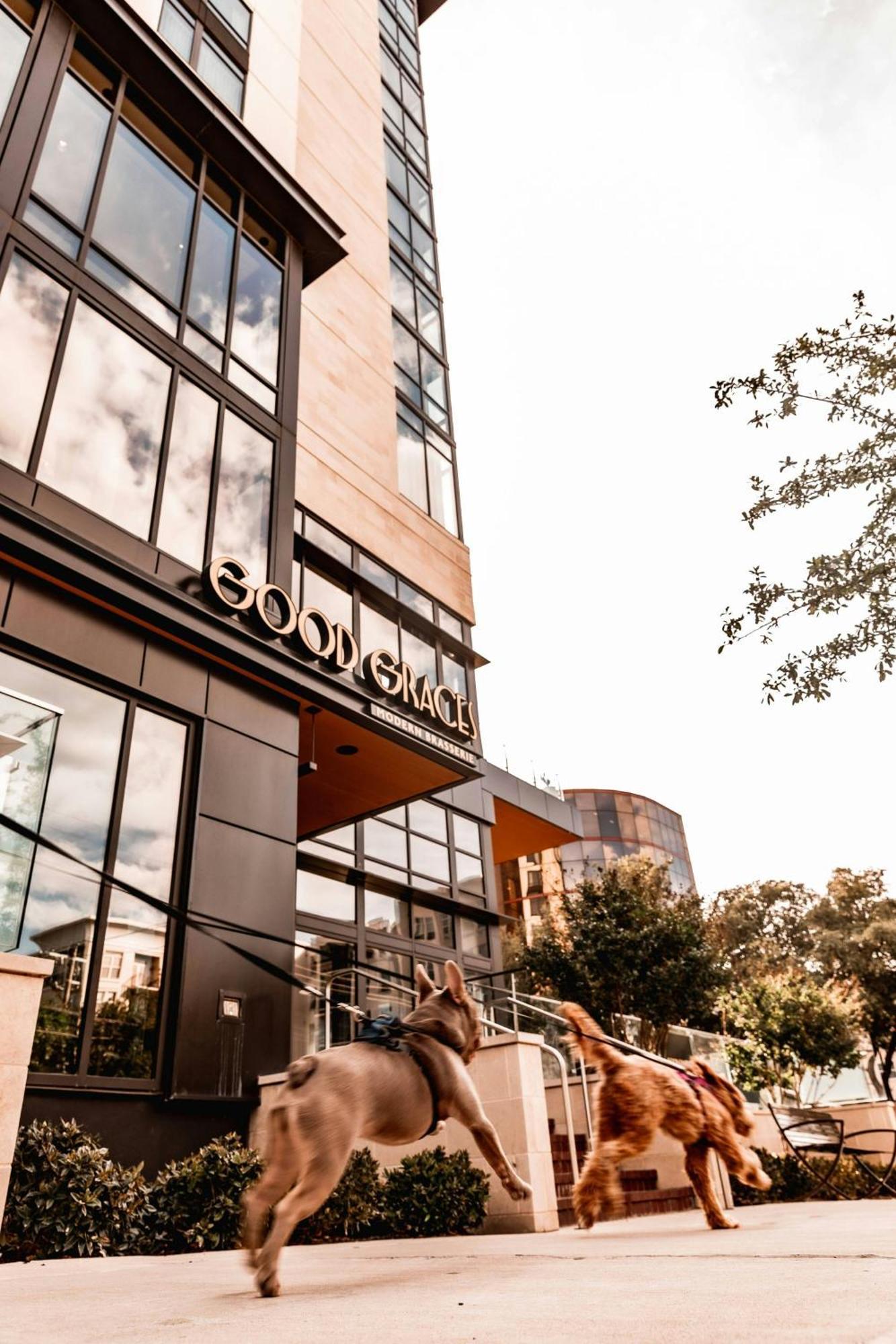 Marriott Dallas Uptown Zewnętrze zdjęcie
